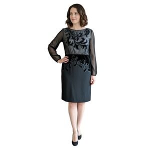 Silk Velvet Burnout Illusion Dress 6 Classy Dark Coquette Whimsigoth Vamp Glam